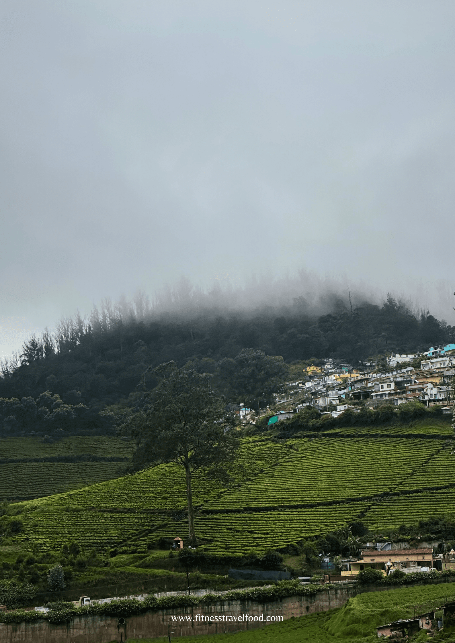 Ooty Places To Visit