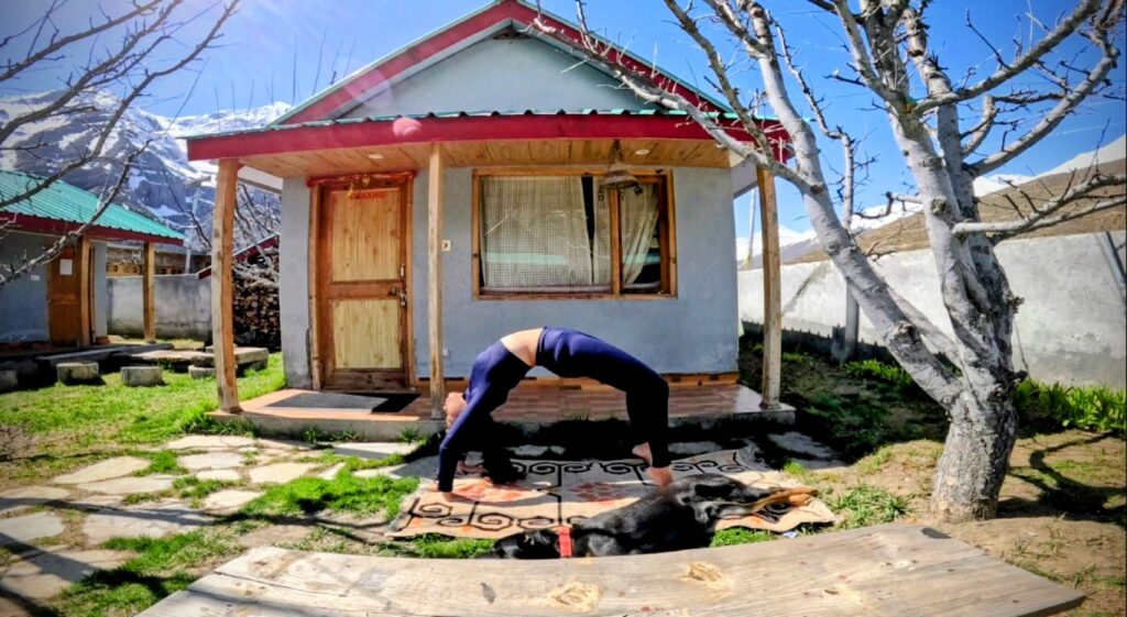 Lahaul hotels, Yoga Sessions